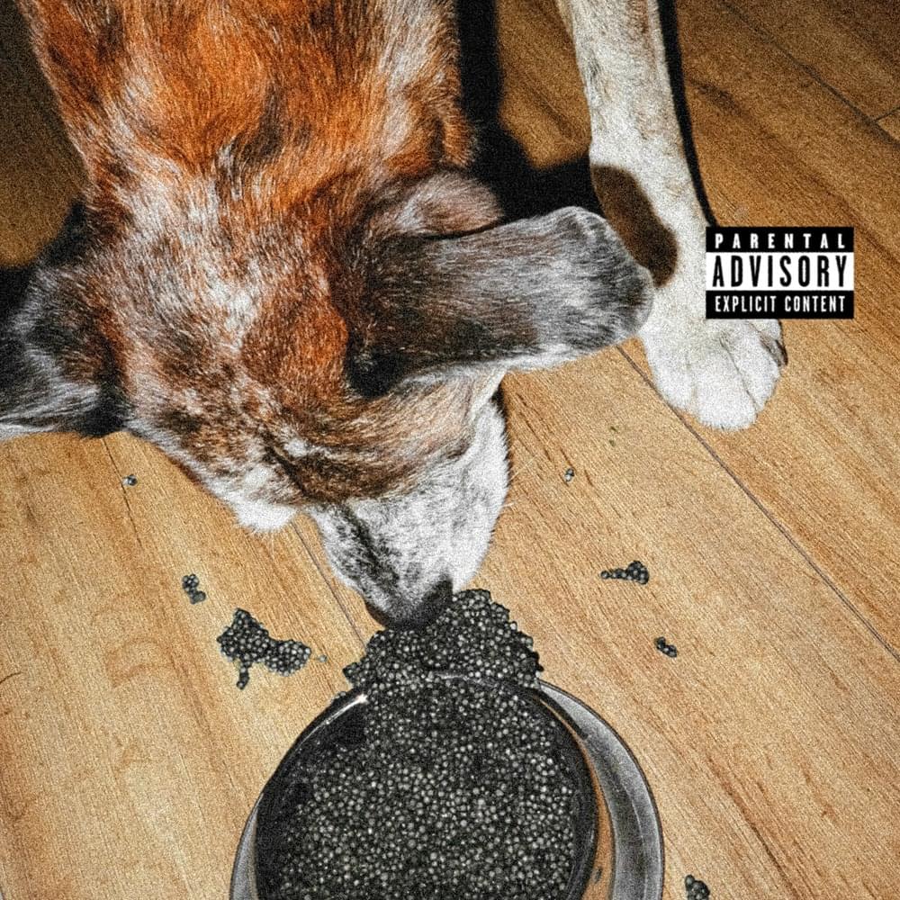 Cover album